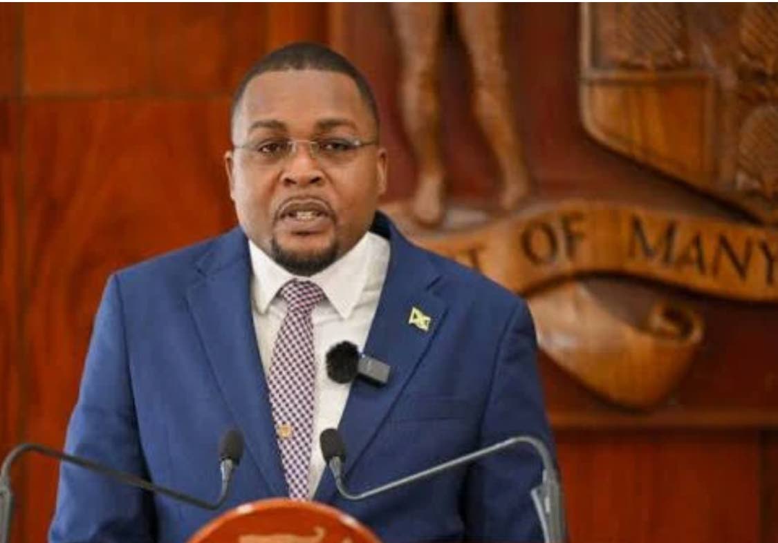 Robert Morgan, minister without portfolio in the Ministry of Economic Growth and Infrastructure Development.