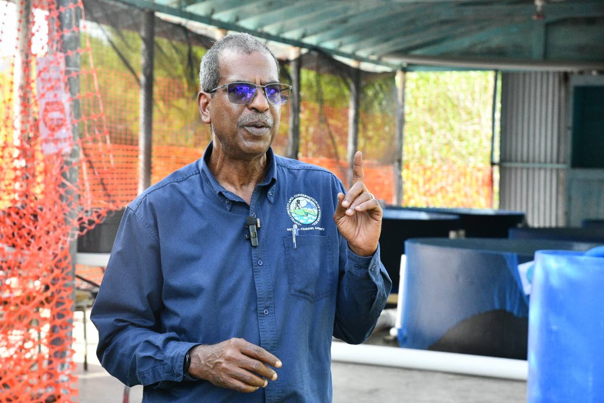 Chief Executive Officer of National Fisheries Authority (NFA), Dr Gavin Bellamy, converses with reporters during a tour of the NFA’s Bowden Bay Mariculture Research Facility in St Thomas where the Red Snapper Cage Culture Fin Fish Pilot Project is being 