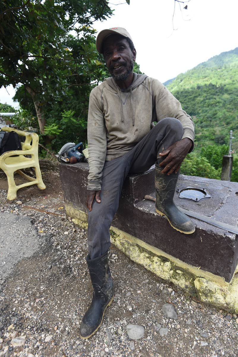 Elvis Simpson, 61, is pleased with how his Mount Airy, St Andrew coffee farm has recovered since taking a blow from Hurricane Beryl last year. He is dreading another major loss.