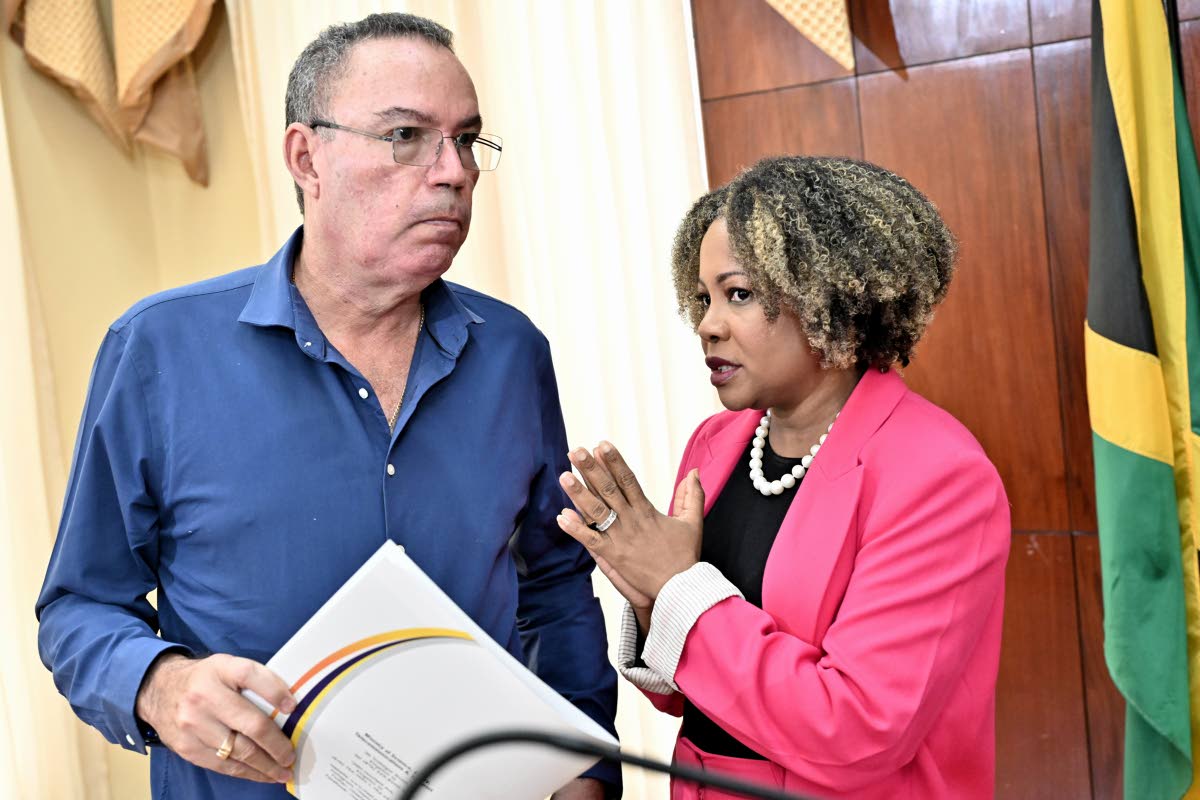 Information Minister Dr Dana Morris Dixon chats with Daryl Vaz, minister of energy and transport, at a special press briefing on Tropical Storm Melissa at Jamaica House in St Andrew on Thursday.
