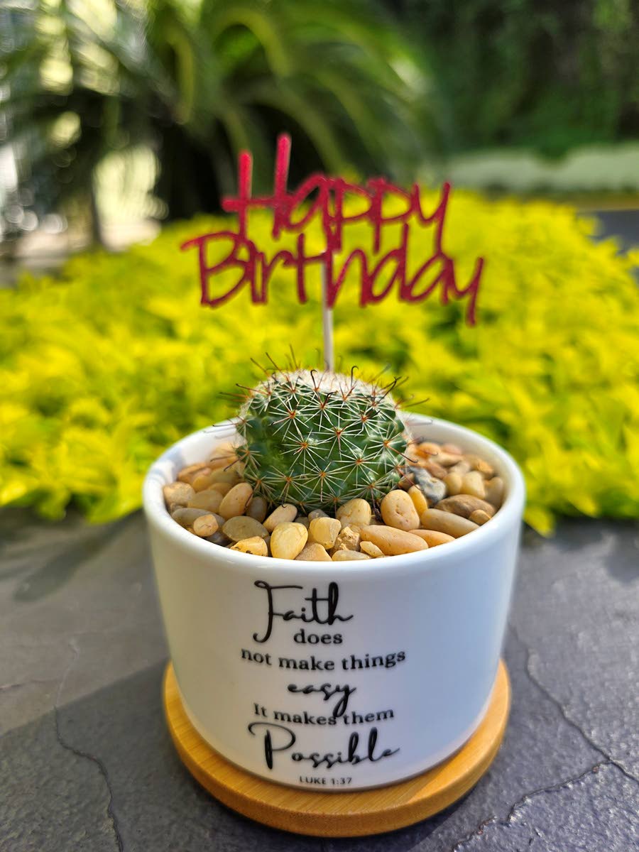 Faith isn’t just part of Williams-Lue’s life; it is her foundation, which is why many of her pots feature Bible verses.