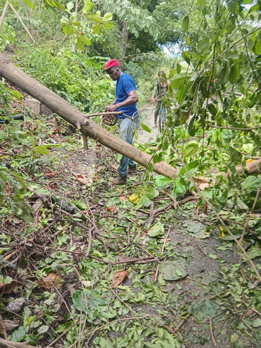 Personnel work to clear debris from a roadway in Damhead district, where the Bog Walk Gorge is located, after Hurricane Melissa.