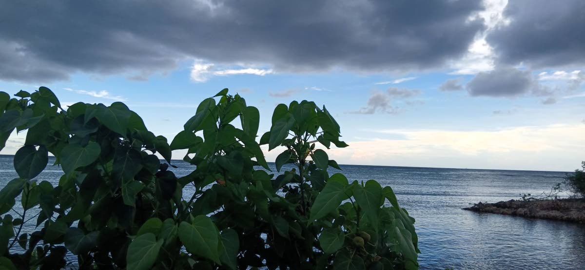 
Serene Falmouth shoreline. 