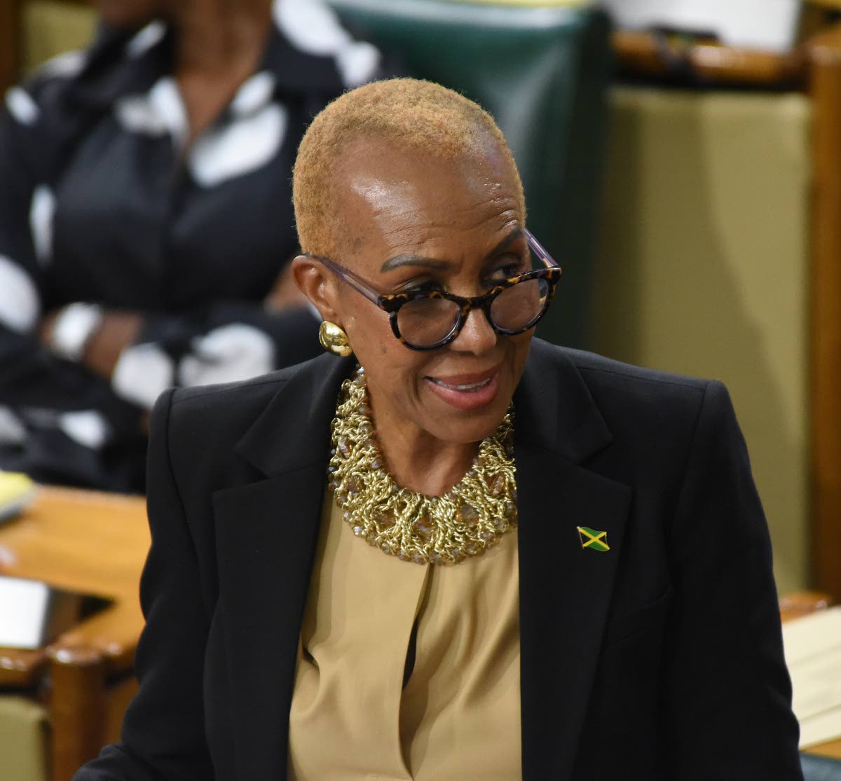 Fayval Williams, minister of finance and the public service. 