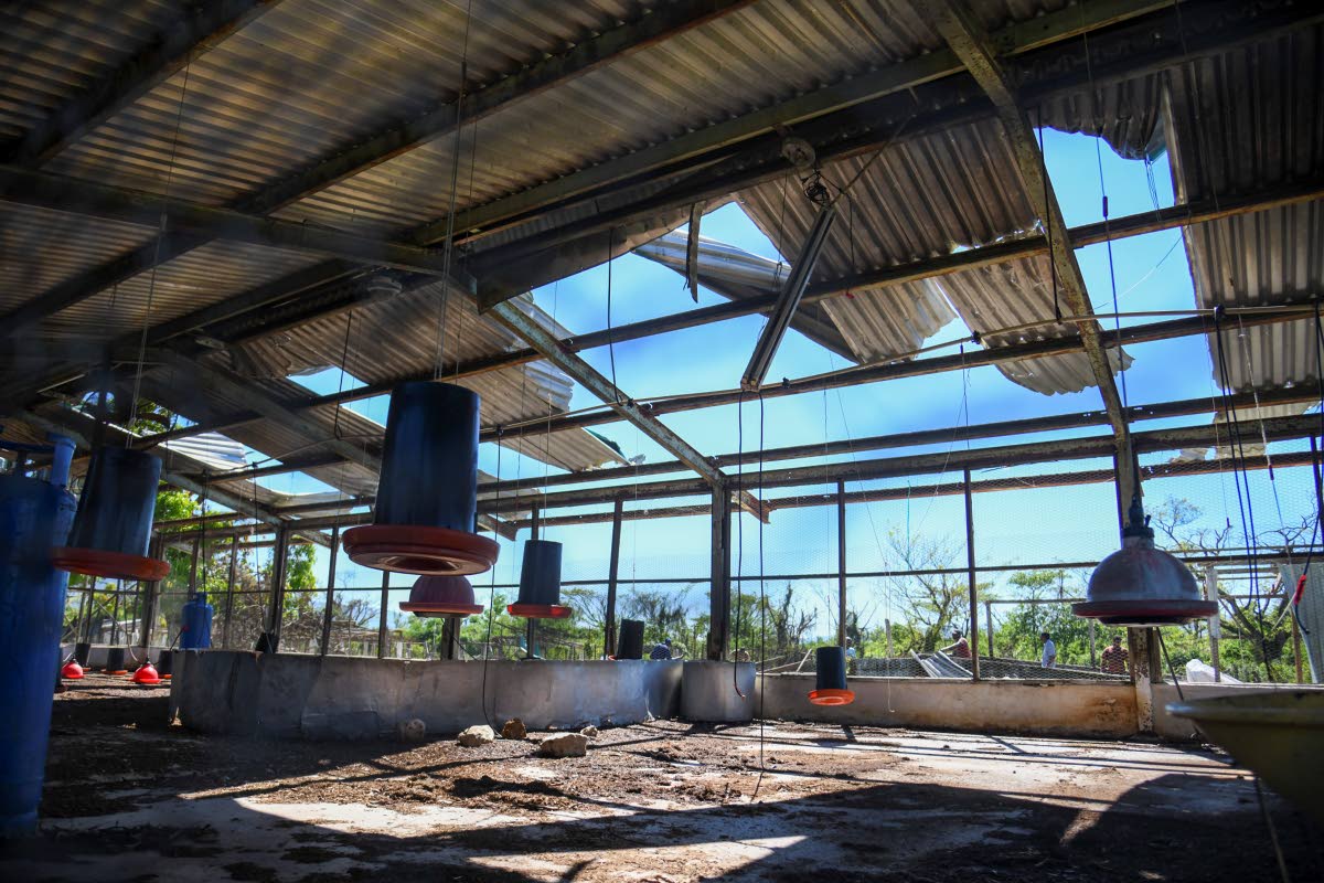 Damaged livestock facilities at Sydney Pagon STEM Academy.