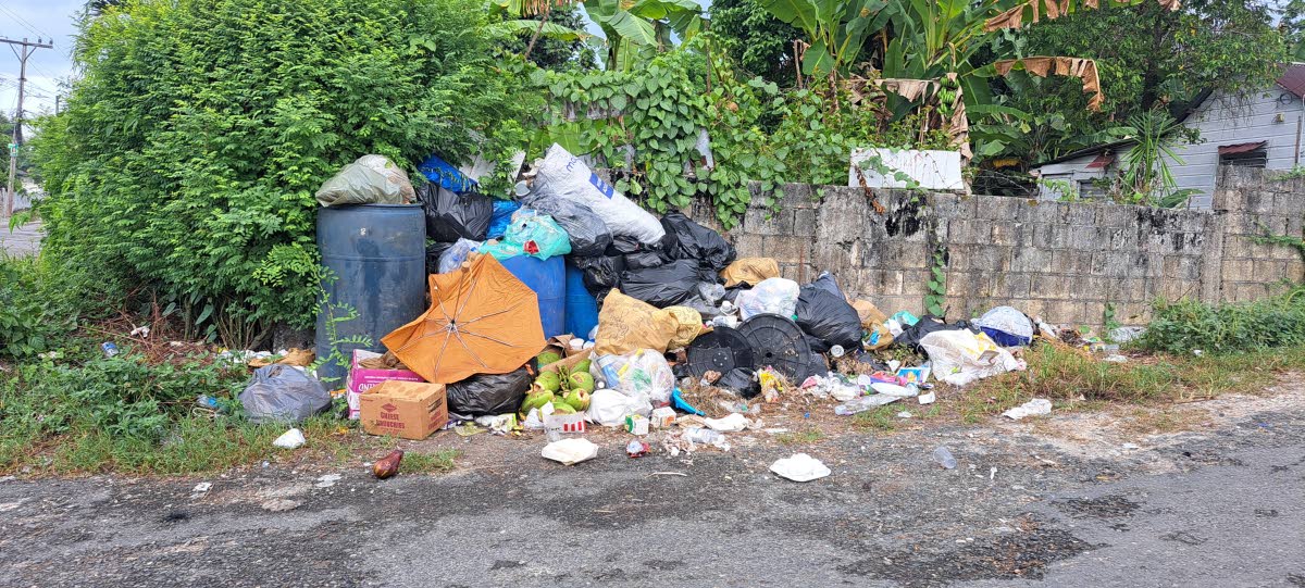 Garbage piled up at the entrance to Light House Road, Boundbrook, East Portland.