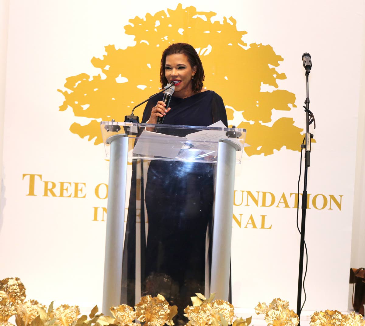 Minister in the Office of the Prime Minister with responsibility for Efficiency, Innovation and Digital Transformation, Ambassador Audrey Marks, delivers remarks after receiving the 2026 Golden Heart Award from the Tree of Life Foundation.