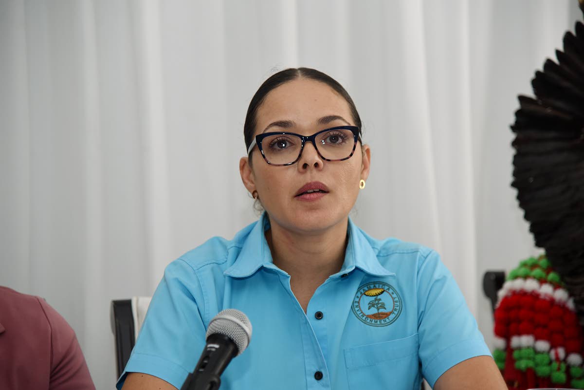 

Dr Theresa Rodriguez-Moodie, executive director at the Jamaica Environment Trust.