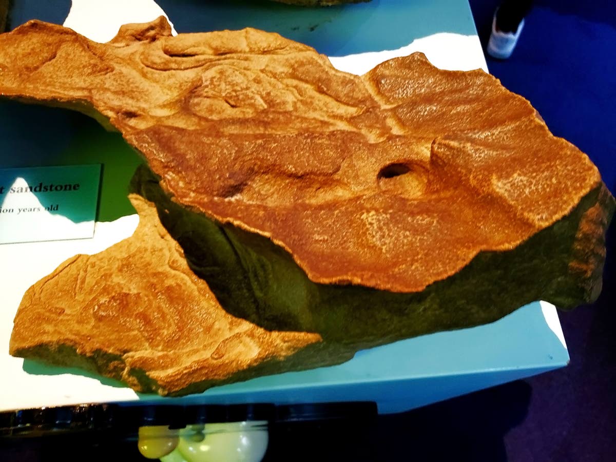 Some of the sandstone and fossils at the centre are over 400 million years old.