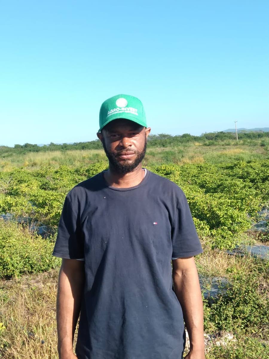 Roy Martin, president of the Parnassus Farmers’ Group in Clarendon. 