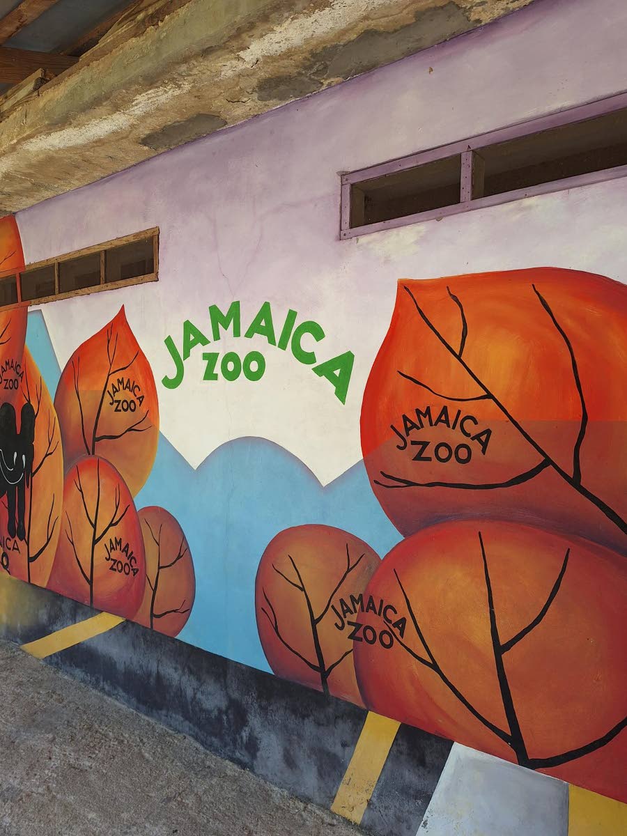 Jamaica Zoo.