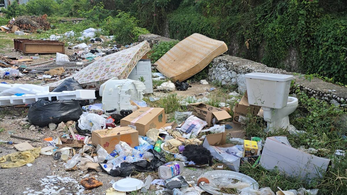 Garbage pileup in the vicinity of Waltham Park Road.