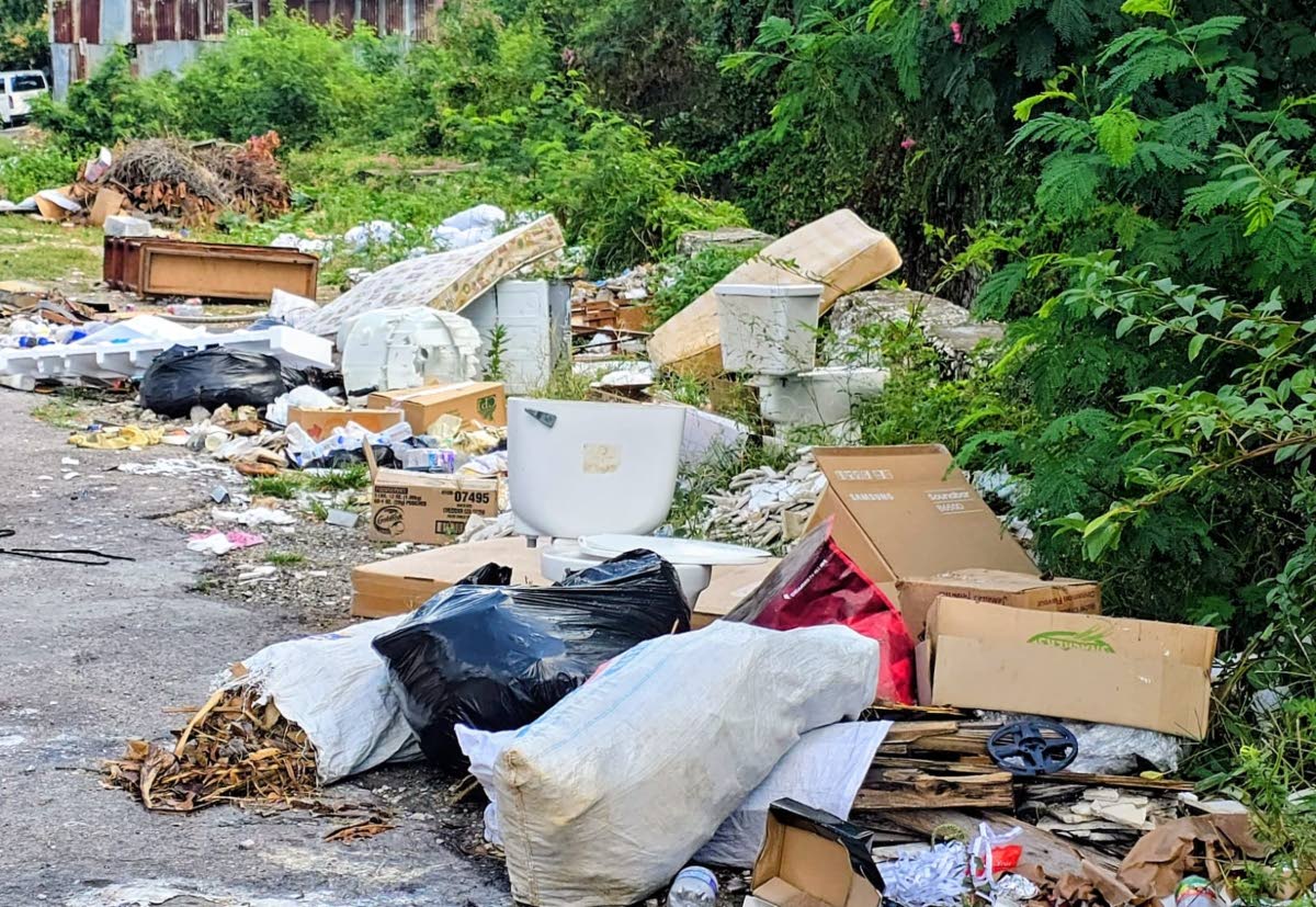 Garbage pileup in the Waltham Park Road community. 