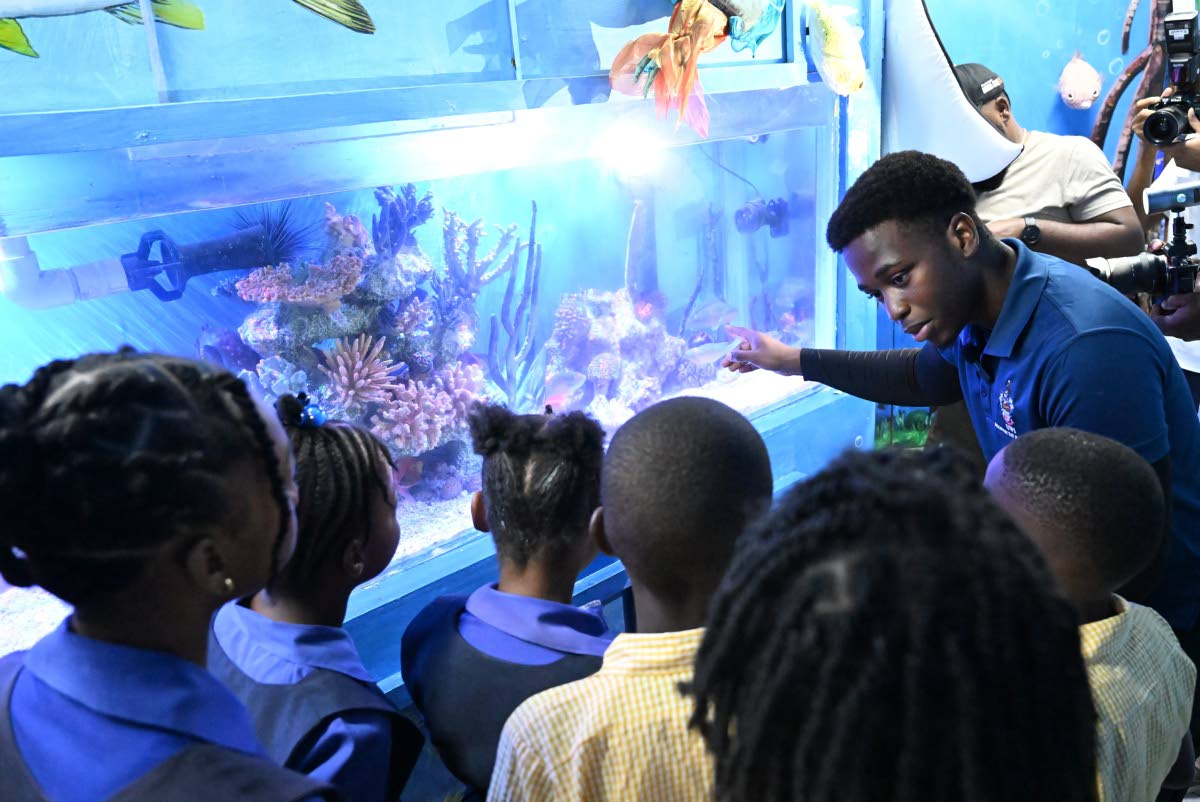 Outreach officer at the University of the West Indies (UWI) Discovery Bay Marine Laboratory in St Ann, Jason Grant, engages students of Waltham Abbey Primary and Infant School and Discovery Bay Primary and Infant School in an interactive showcase of the ne