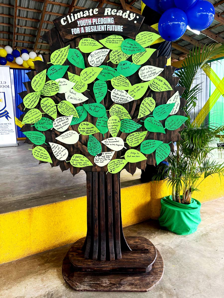 A climate pledge tree, created by NEPA staff member Carlington Brown, displays pledges written by participants during the workshop, symbolising their commitment to environmental stewardship.