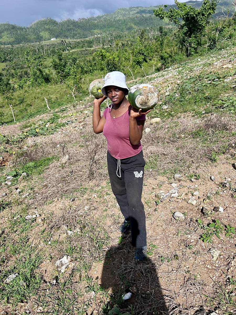 St Elizabeth farmer Sherka Graham has lost thousands of pounds of pumpkin to black rot.