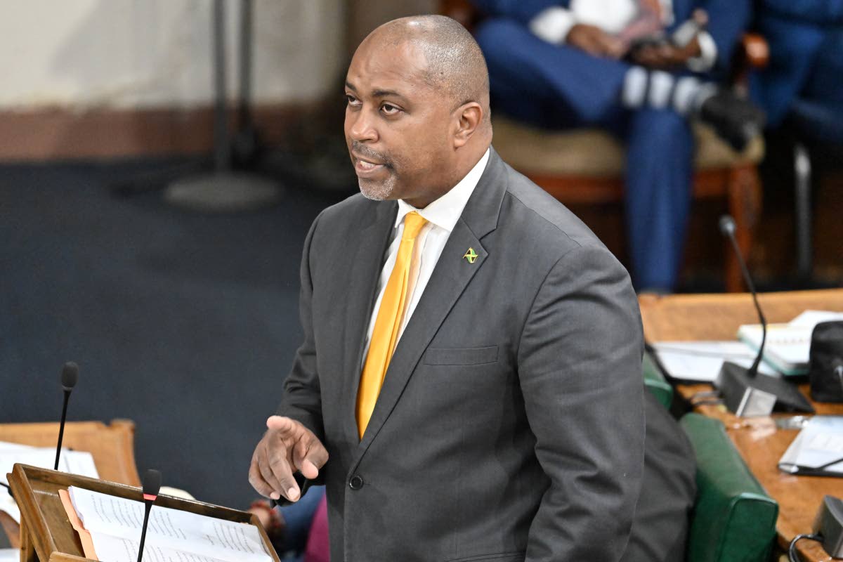 Julian Robinson, opposition spokesperson on finance, addresses Parliament as he makes his contribution to the Budget Debate on March 12. 