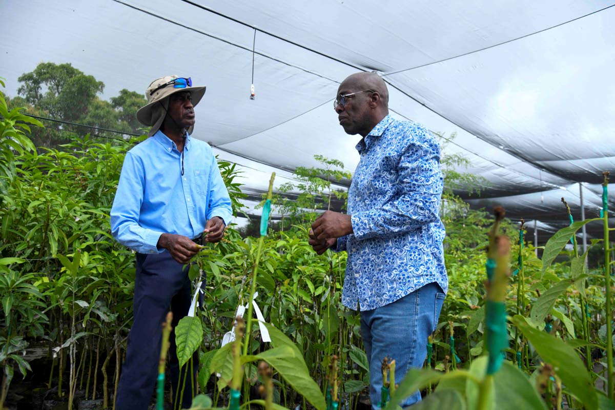 Don McGlashan (left), principal research director, research and development and Locksley Waites, fruit tree crop specialist at the Bodles Research Station.