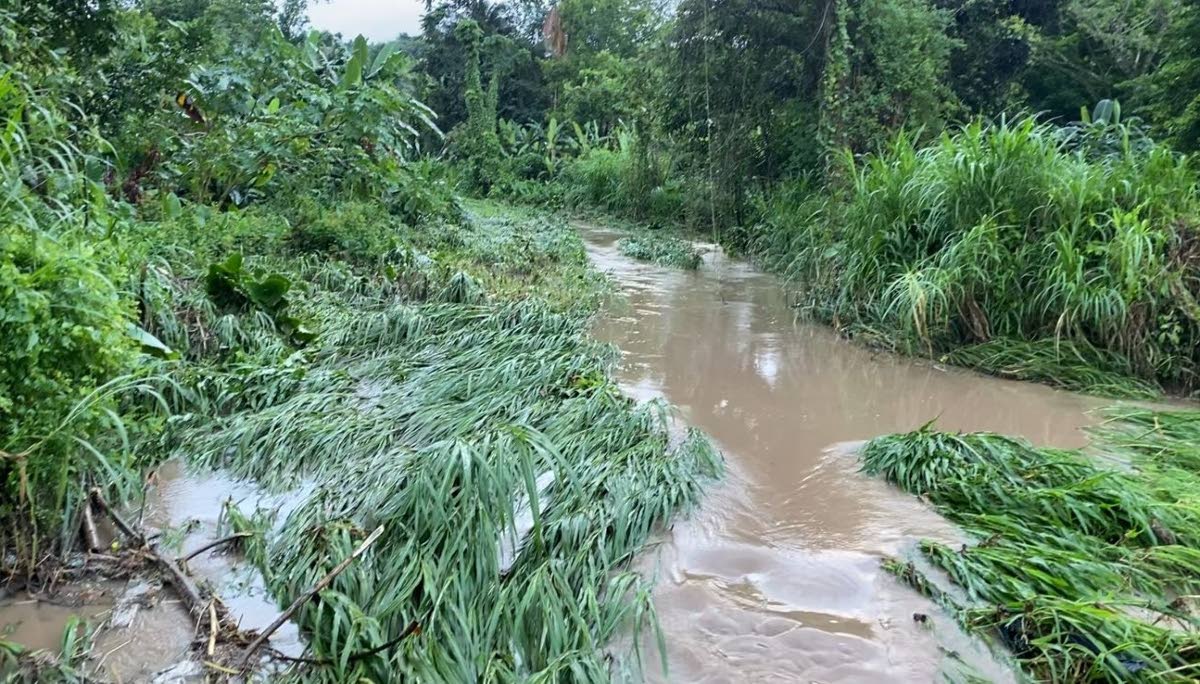 A section of the murky river along the Seaview Farm Road in Portland still showing signs of the rushing waters hours before as the river overflowed its banks.