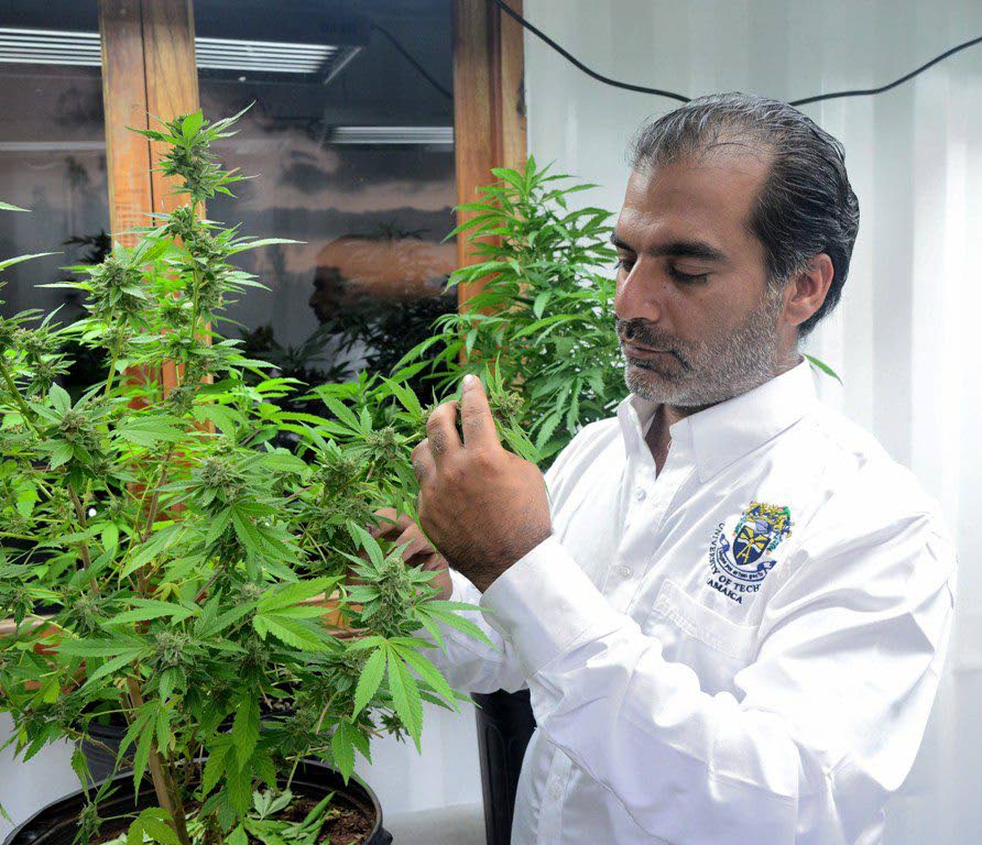 Balram Vaswani CEO of Kaya.