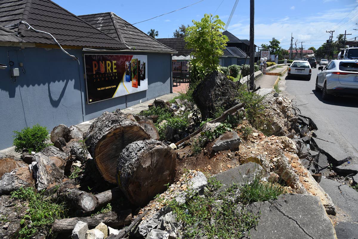 The Pure Chocolate factory in Ocho Rios, St Ann, that was severely damaged by a falling guango tree during the passage of Hurricane Melissa last October.