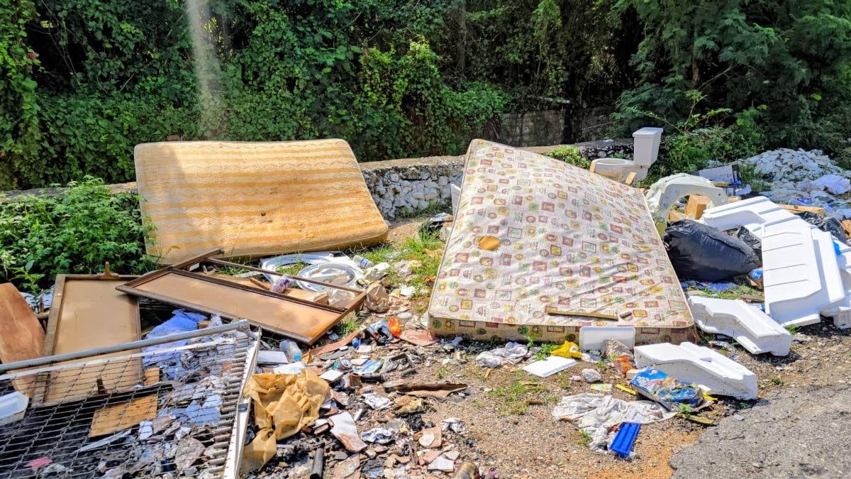 Garbage litters the side of the roadway at the top of Hughenden Avenue in St Andrew.