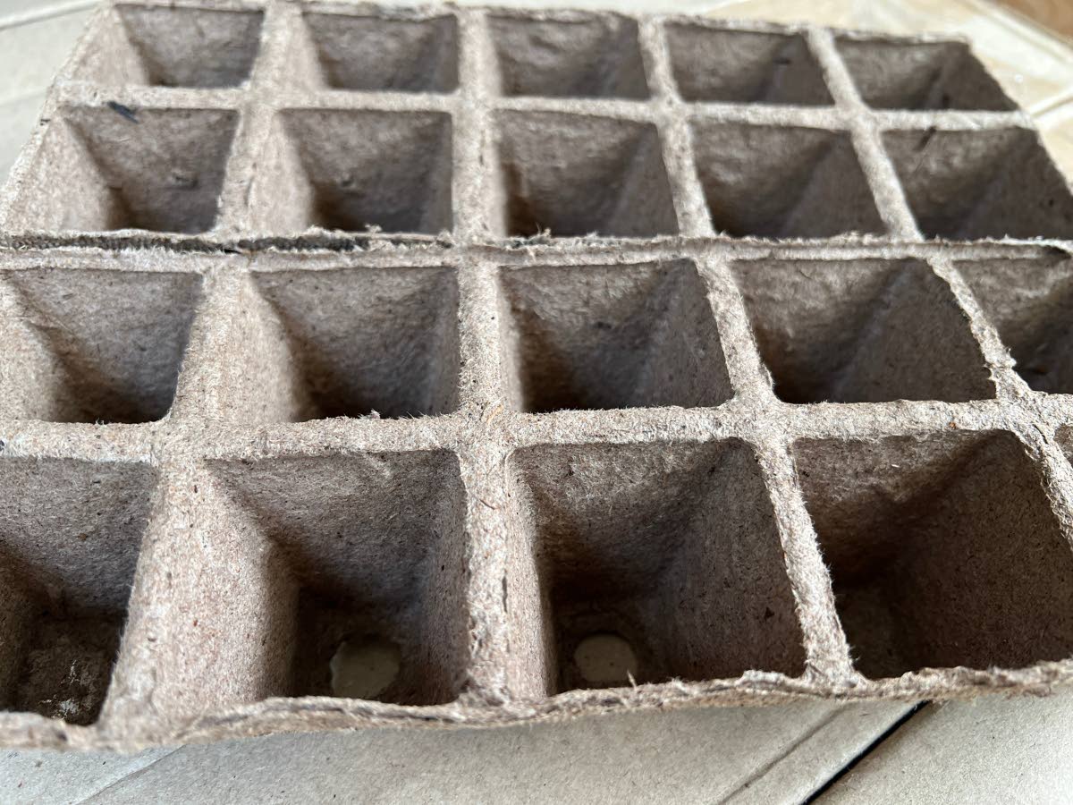 Strips of plastic-free, peat-based seed-starting cells.