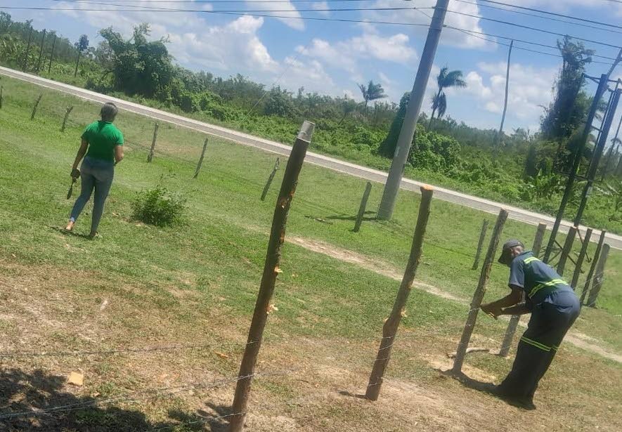 Barbed wire fencing that temporarily blocked a section of Negril’s Seven Mile Beach is seen before removal and after swift intervention which restored public access. 