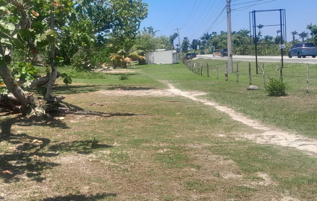 Barbed wire fencing that temporarily blocked a section of Negril’s Seven Mile Beach is seen before removal and after swift intervention which restored public access. 