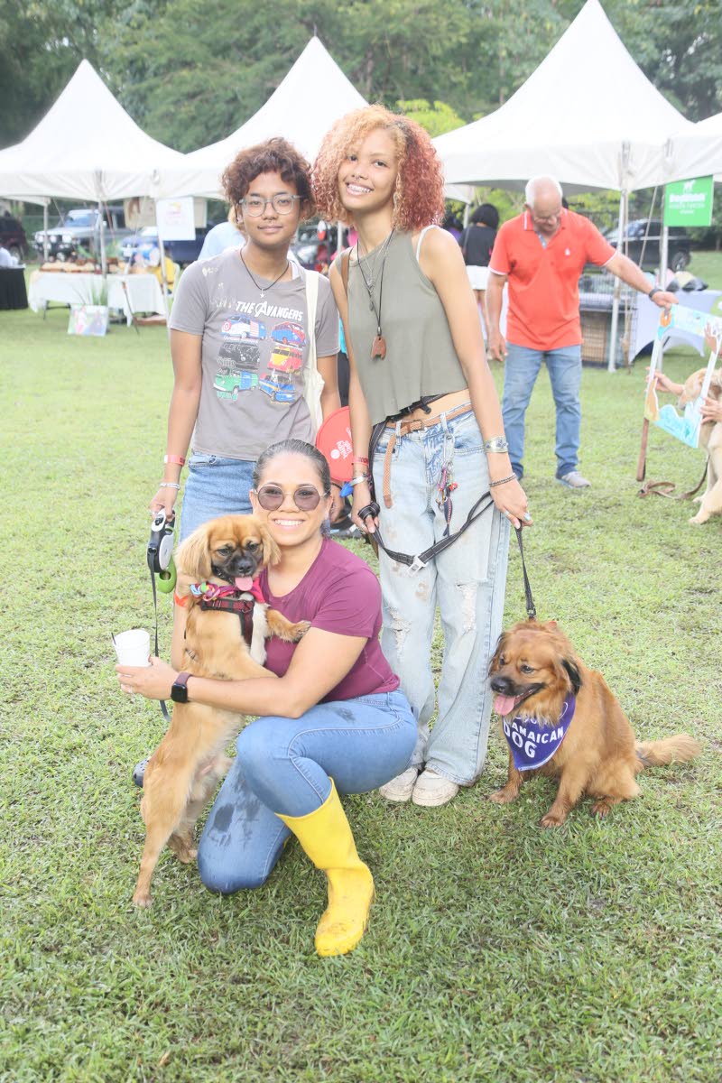 Medical doctor Anya McKenzie stoops down with her Cock-A-Tzu, Loki, for a photo op alongside friends Leilani Lau and Chennai Wallace (right), who is joined by her Cockeranian, Wally.