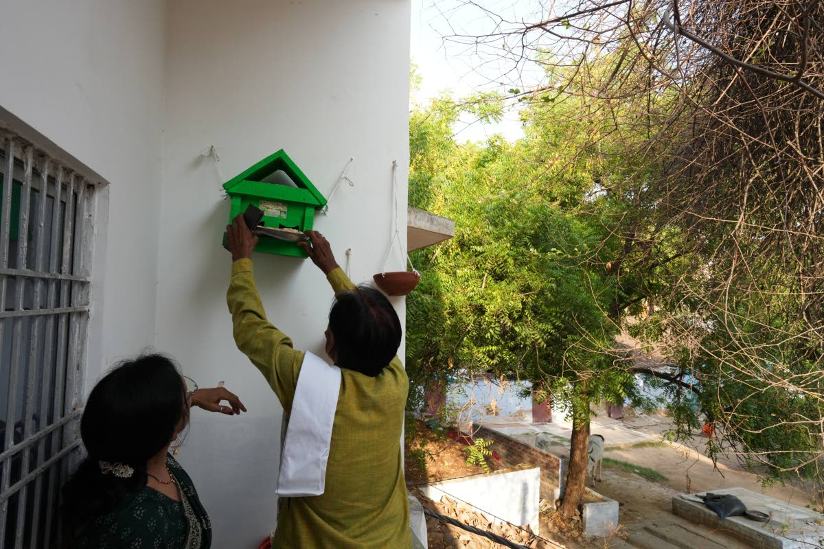 Bird conservationist Shobharam Kashyap installs a wooden birdhouse for sparrows during a heat wave in Banda, northern Indian state of Uttar Pradesh, on Saturday, June 20.