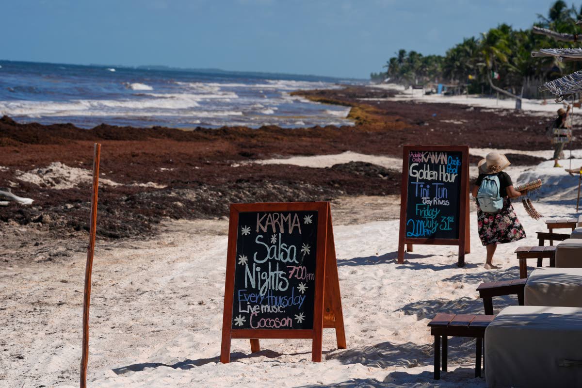 Promotional boards are displayed near to a beach covered with sargassum in Tulum, Mexico, last Thursday.
