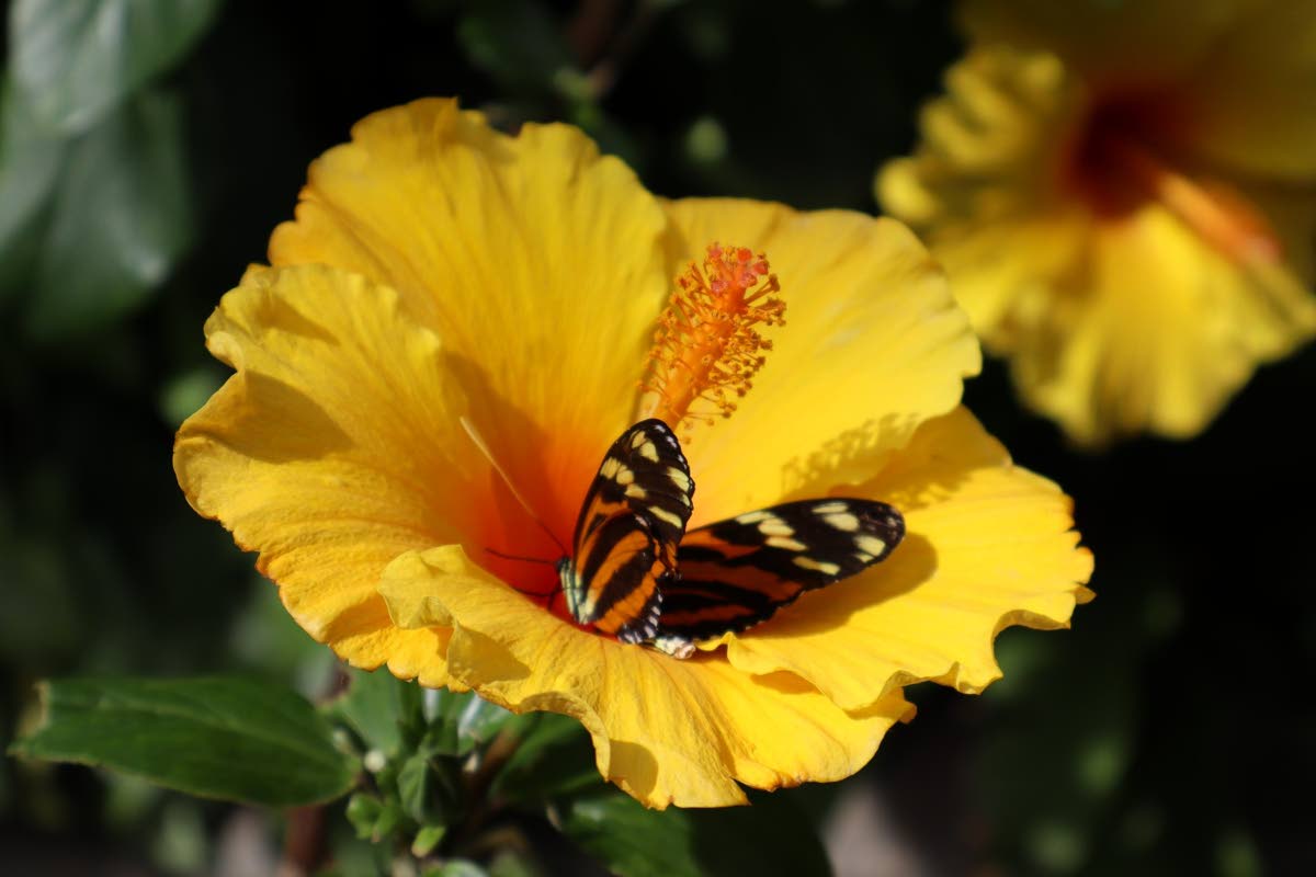 Nature in perfect harmony. Photo taken at Calgary Zoo, Calgary, Canada