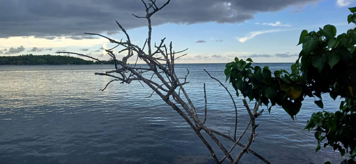 Beautiful and serene Falmouth shoreline