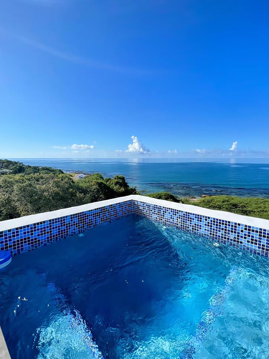 The rooftop skydeck steals the show with its plunge pool and wet bar.