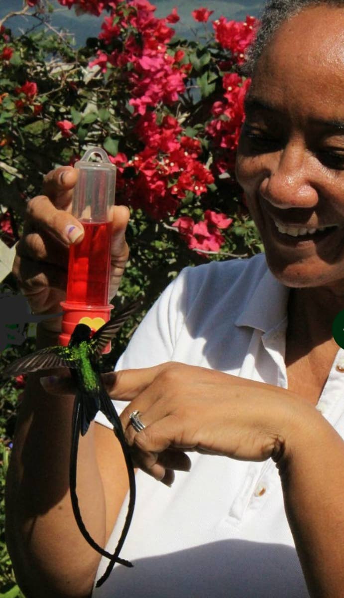 Tamika Williams, operator of Ahhh Ras Natango, feeds a bird.