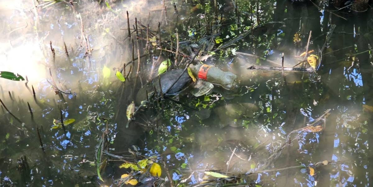 Plastic in a waterway in Trinidad & Tobago. 