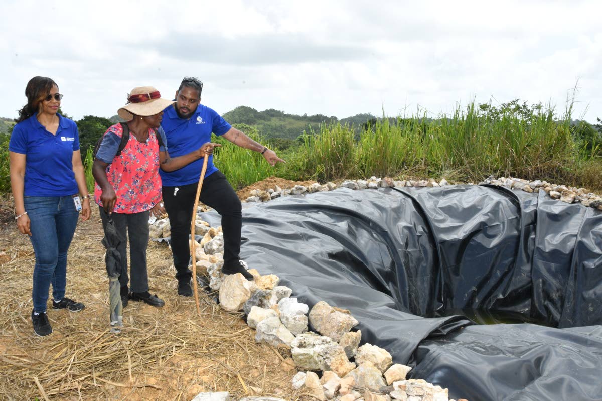 Dorothy Angus (centre), a physically challenged ginger farmer from Duxes District in Point Hill, St Cathe,rine, shows Hakeem Atkinson(right), member relations supervisor at the Jamaica National Group and Kareen Dennis of the Linstead JN Circle Chapter, the