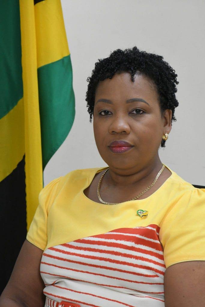 
Nicola Dawkins-Wright, director, emergency, disaster management and special services. 