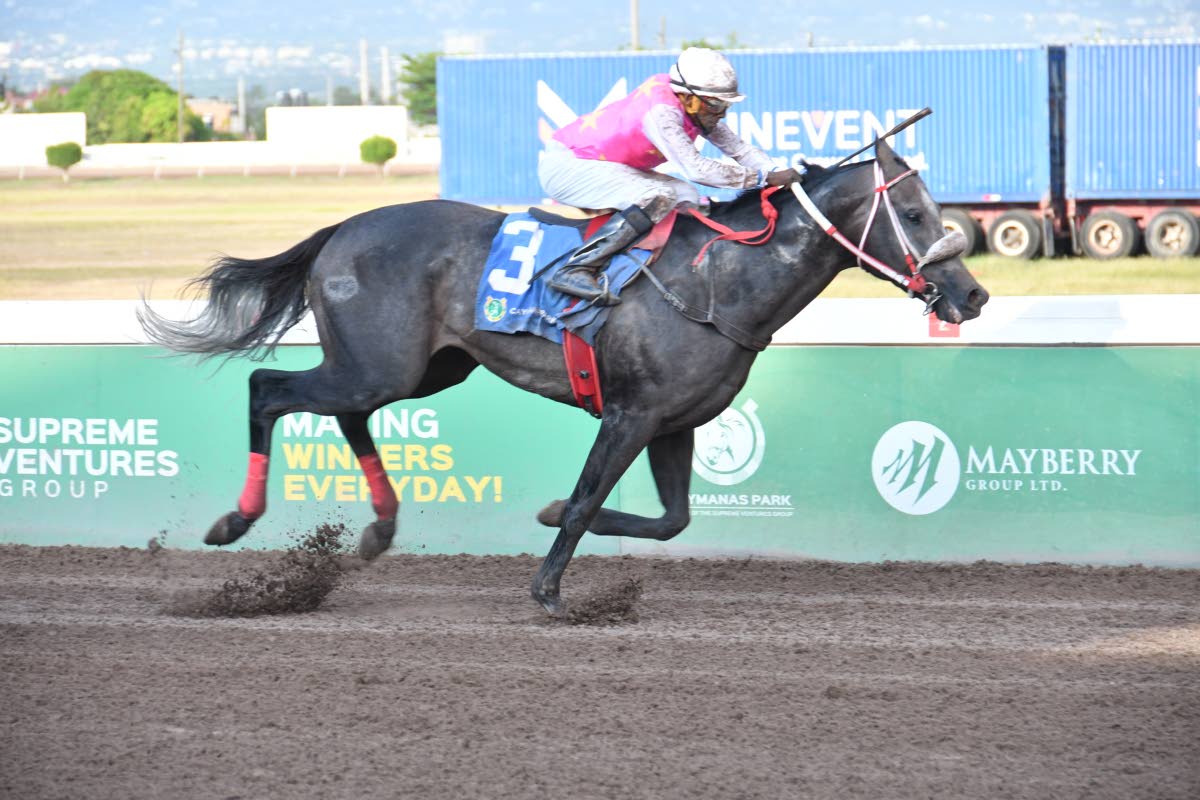  RIDEALLDAY, ridden by Ian Spence, wins the 54th running of the Philip Feanny Gold Cup over seven furlongs at Caymanas Park on Saturday September 5, 2026.