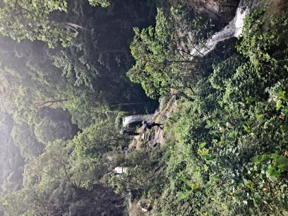 Trekkers are expected to enjoy swimming and hiking a verdant forest trail in the Blue Mountain Forest Reserve, St Andrew, on Sunday, November 2, 2025.