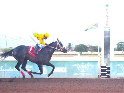 RIDEALLDAY, ridden by Ian Spence, runs away with The Bigman In Town Trophy over a mile at Caymanas Park on July 19.