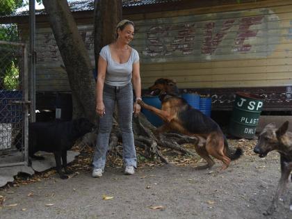 Pamela Lawson, Managing Director, of the JSPCA in St Andrew, plays with some of the dogs on property during a visit on Saturday.