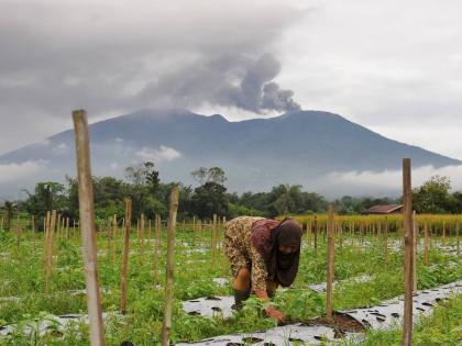 A woman works on her field as Mount Marapi spews volcanic materials during its eruption in Agam, West Sumatra, Indonesia in 2023. 