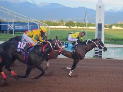 
LEGACY ISLE (right), ridden by Raddesh Roman, wins the 53rd running of the Gold Cup ahead of RIDEALLDAY (Paul Francis) at Caymanas Park yesterday.