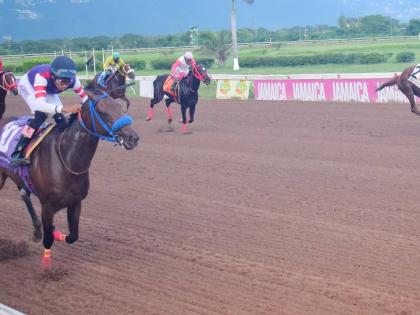 BOOTYLICIOUS (left), ridden by Raddesh Roman, wins Division One of the Nigel Nunes Memorial Cup ahead of PRINCE AMANN (right, Robert Halledeen) at Caymanas Park yesterday.
