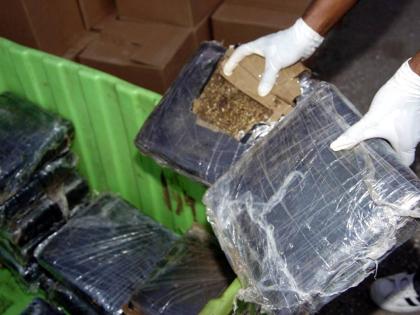 Police examine over 220 packets of compressed ganja prepared for export.