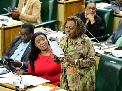 Minister of Culture, Gender, Entertainment and Sport, Olivia Grange, addressing the House of Representatives.