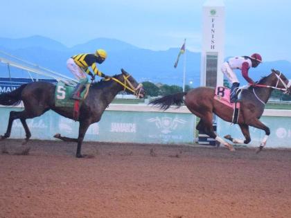 DOTHARAKI (right), ridden by Robert Halledeen, wins the ninth race ahead of DIGITAL ONE (Dane Dawkins)  at Caymanas Park yesterday.