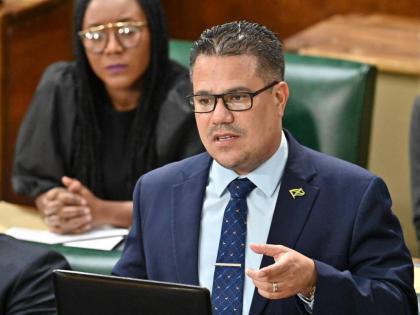 Minister of Water, Environment Minister and Climate Change,Matthew Samuda, speaking in the House of Representatives on October 21, 2025.  